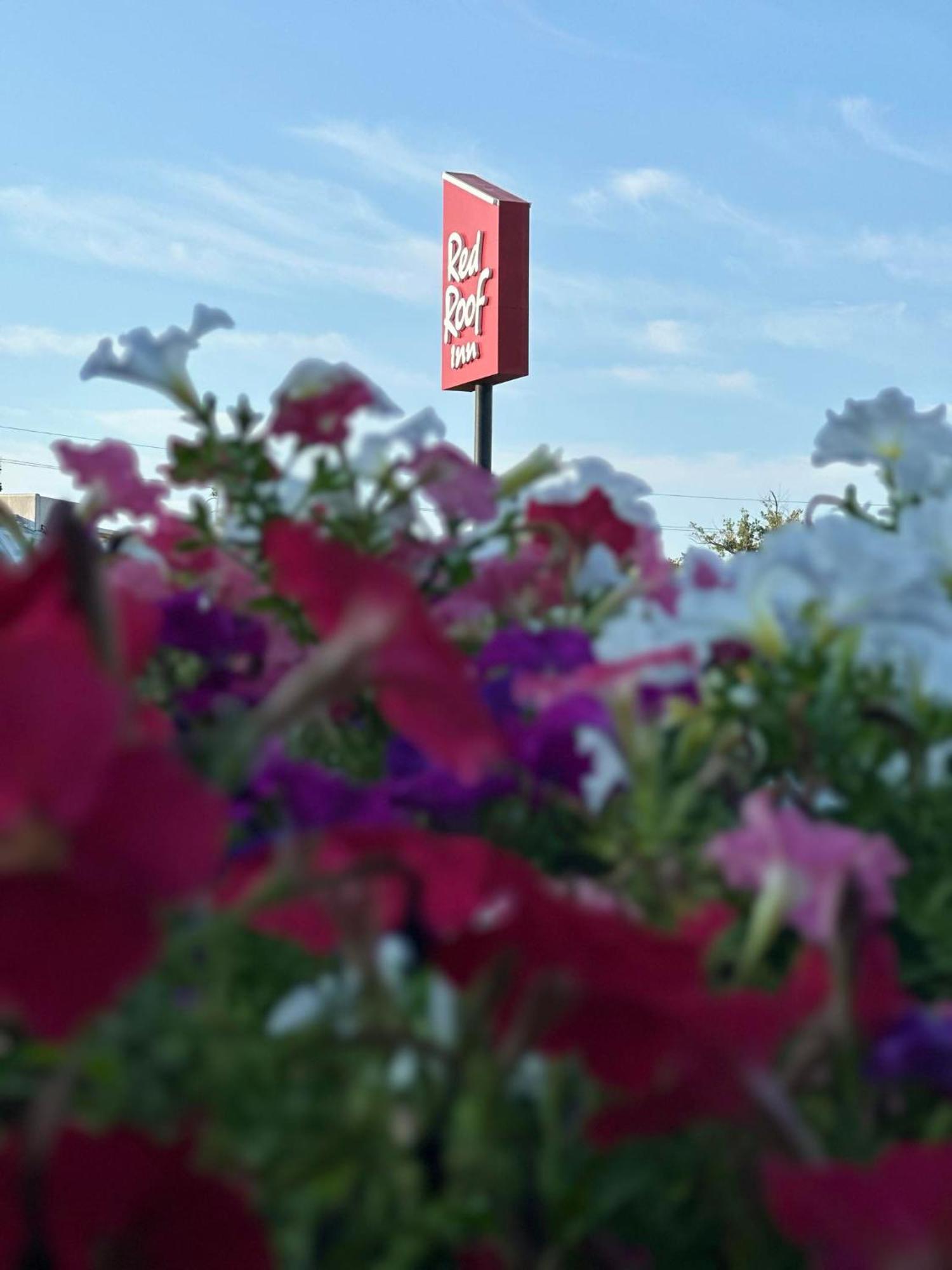 Red Roof Inn Panama City Exterior photo